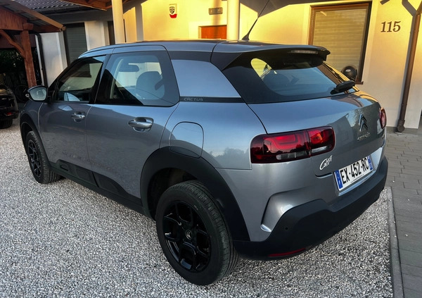 Citroen C4 Cactus cena 47600 przebieg: 120000, rok produkcji 2018 z Rzeszów małe 79